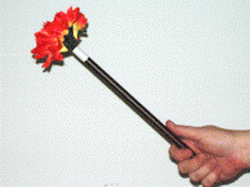 magic wand with flowers